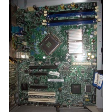 Материнская плата Intel Server Board S3200SH s.775 (Салават)