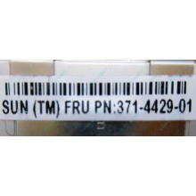 Серверная память SUN (FRU PN 371-4429-01) 4096Mb (4Gb) DDR3 ECC в Салавате, память для сервера SUN FRU P/N 371-4429-01 (Салават)