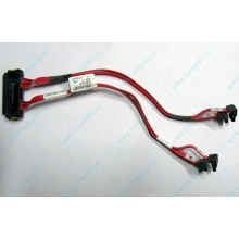 SATA-кабель для корзины HDD HP 451782-001 459190-001 для HP ML310 G5 (Салават)