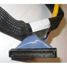 Кабель SCSI HP 166298-037 для HP ML370 G4 (Салават)