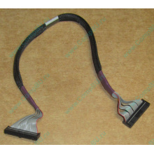 FDD-кабель HP 271946-006 для ML370 (Салават)