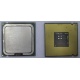 Процессор Intel Celeron D 336 (2.8GHz /256kb /533MHz) SL98W s.775 (Салават)