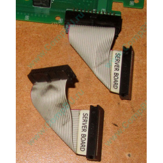 6017B0045701 Шлейф 24 pin для Intel C74974-401 T0043401-B01 корпуса SR2400 (Салават)