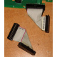 6017B0045701 Шлейф 24pin для Intel C74974-401 T0043401-B01 корпуса SR2400 (Салават)
