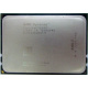 AMD Opteron 6128 OS6128WKT8EGO (Салават)