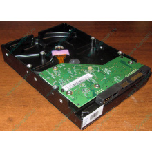 Жесткий диск 500Gb WD WD5000AAKX HP 634605-003 613208-001 7.2k SATA (Салават)