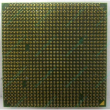 Процессор AMD Sempron 3000+ (1.6GHz) SDA3000IAA3CN s.AM2 (Салават)